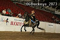 06buckeye_2873 proof
