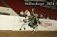 06buckeye_2874 proof