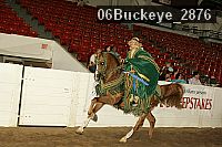 06buckeye_2876 proof