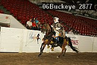 06buckeye_2877 proof