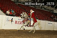 06buckeye_2878 proof