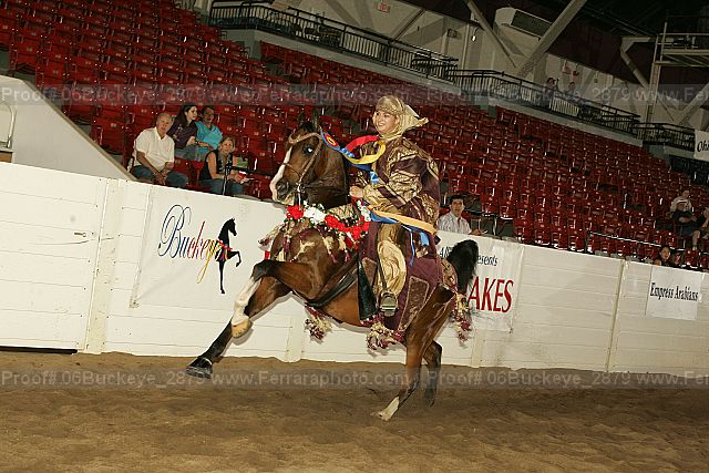 Proof 06buckeye_2879