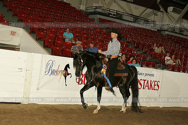 Proof 06buckeye_2885