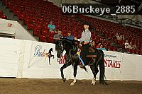 06buckeye_2885 proof
