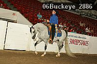 06buckeye_2886 proof