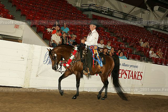 Proof 06buckeye_2891