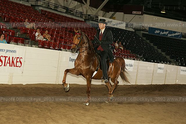 Proof 06buckeye_2893
