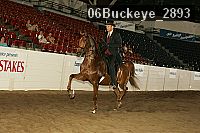 06buckeye_2893 proof