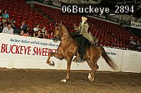 06buckeye_2894 proof