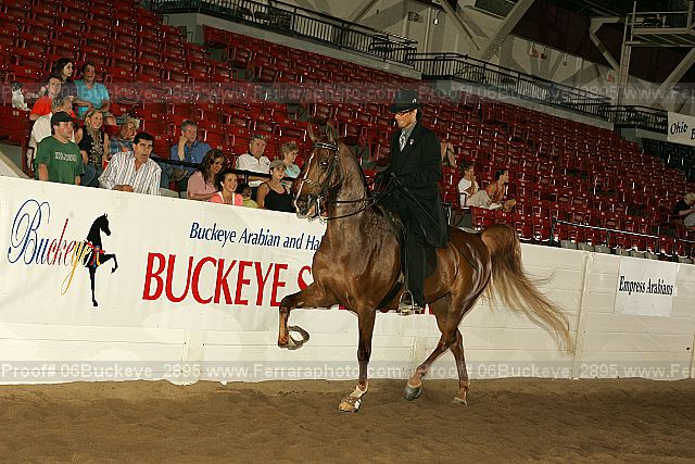 Proof 06buckeye_2895