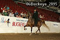 06buckeye_2895 proof