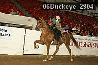06buckeye_2904 proof