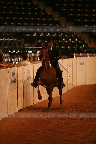 Proof 06buckeye_2906