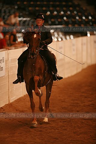 Proof 06buckeye_2908