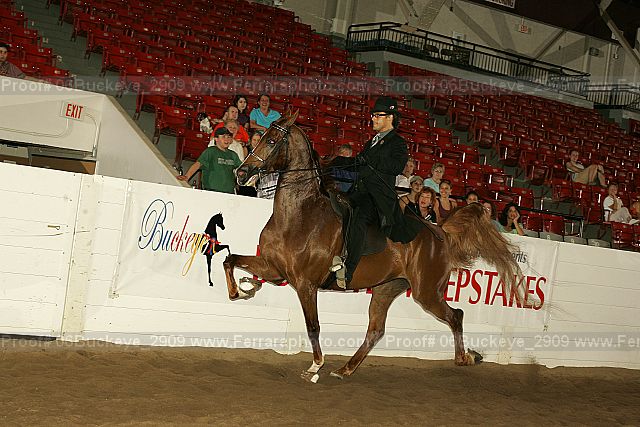 Proof 06buckeye_2909