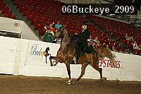 06buckeye_2909 proof