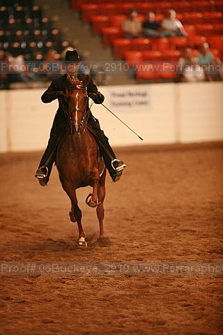 Proof 06buckeye_2910