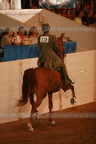Proof 06buckeye_2912