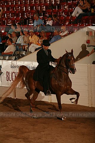 Proof 06buckeye_2913
