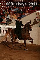 06buckeye_2913 proof