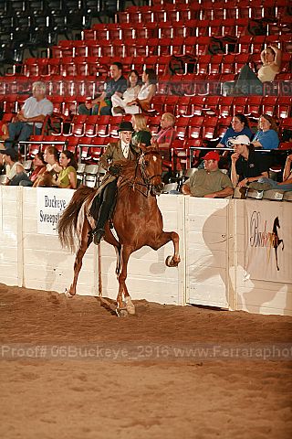Proof 06buckeye_2916
