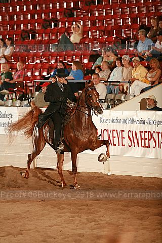Proof 06buckeye_2918