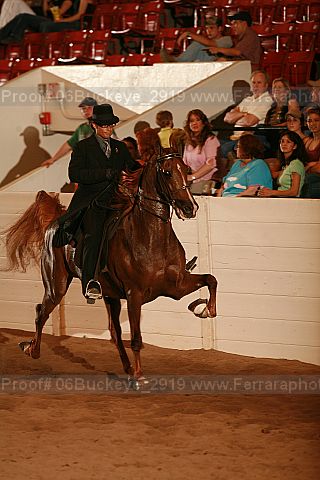 Proof 06buckeye_2919