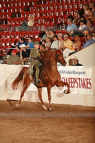 Proof 06buckeye_2920