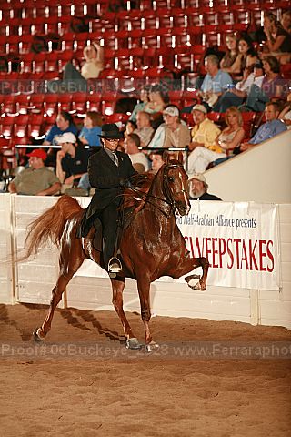 Proof 06buckeye_2928