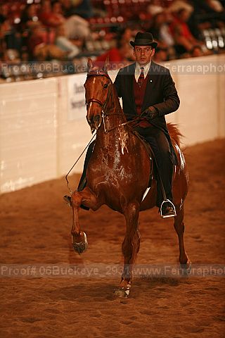 Proof 06buckeye_2931