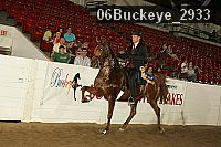 06buckeye_2933 proof
