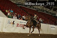 06buckeye_2935 proof
