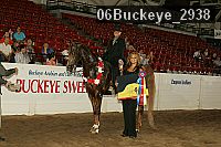 06buckeye_2938 proof