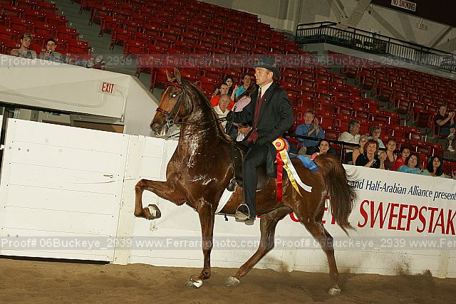 Proof 06buckeye_2939