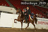 06buckeye_2939 proof