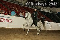 06buckeye_2942 proof