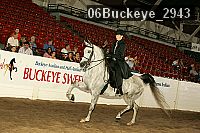 06buckeye_2943 proof