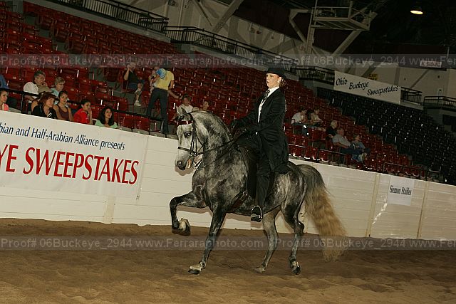 Proof 06buckeye_2944