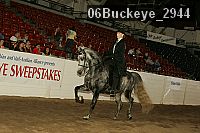 06buckeye_2944 proof