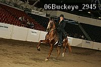 06buckeye_2945 proof