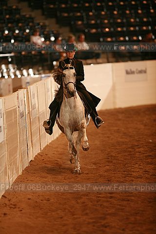 Proof 06buckeye_2947