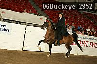 06buckeye_2952 proof