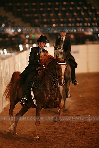 Proof 06buckeye_2953