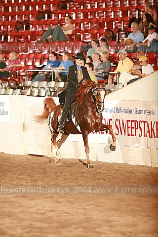 Proof 06buckeye_2964