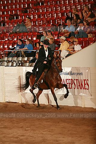 Proof 06buckeye_2965