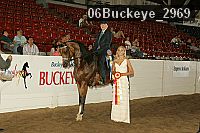 06buckeye_2969 proof