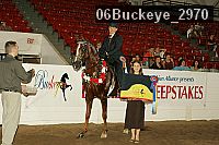 06buckeye_2970 proof