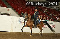 06buckeye_2971 proof