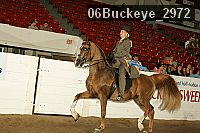 06buckeye_2972 proof