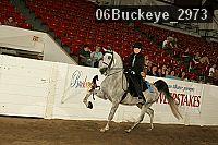 06buckeye_2973 proof